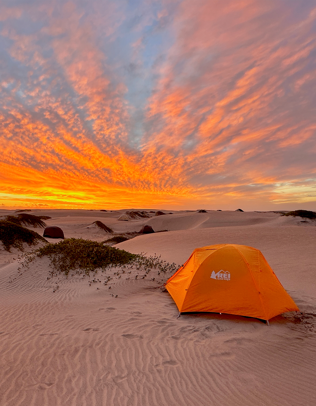 tent for camping in magdalena bay