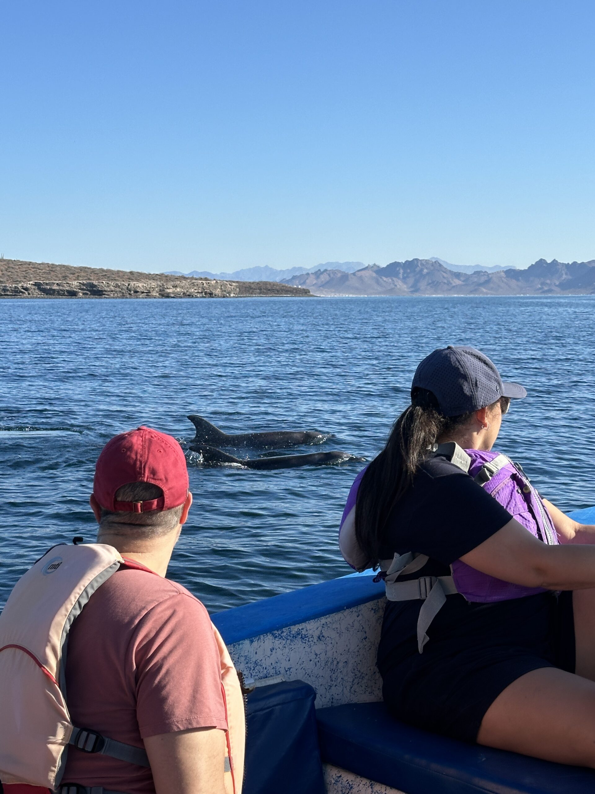 Learn about the history, geology, wildlife, and conservation of Espíritu Santo Island from passionate local guides who bring Baja_s natural wonders to life_