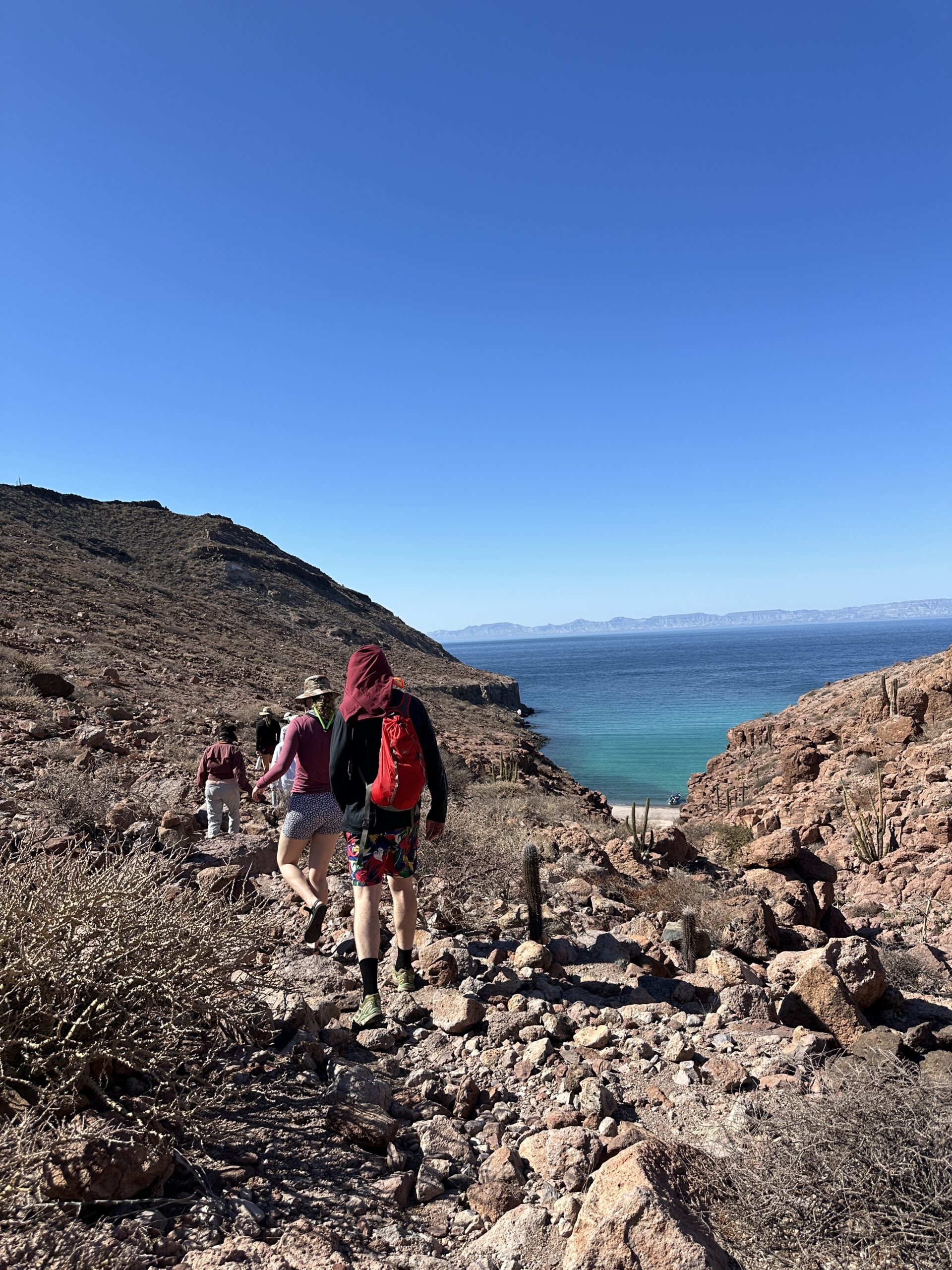 Swim alongside playful sea lions at Los Islotes, one of Baja California Sur_s most iconic wildlife experiences and a highlight of any Espíritu Santo Island tour_