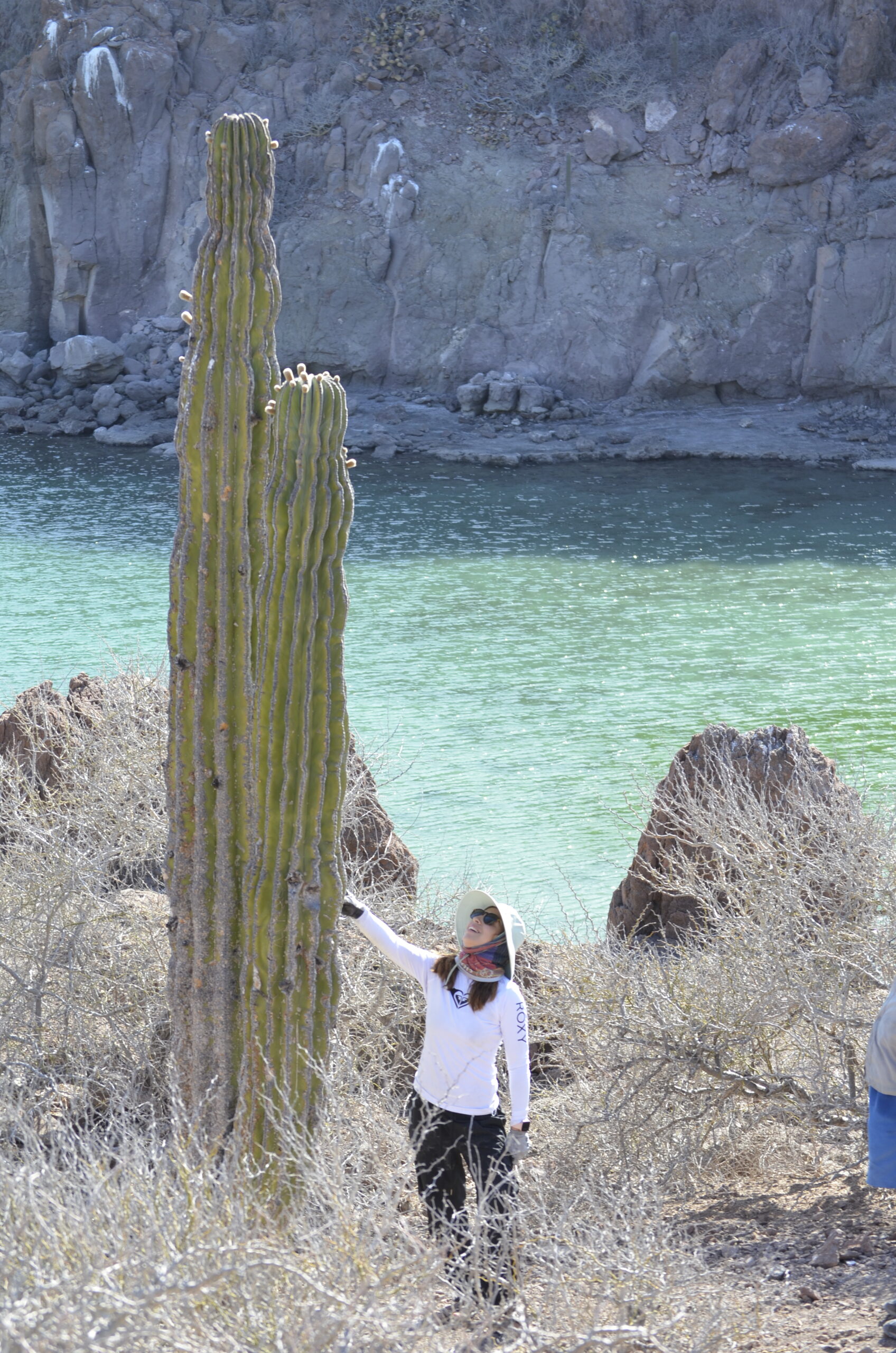 beautiful girl hiking in the sea of cortez