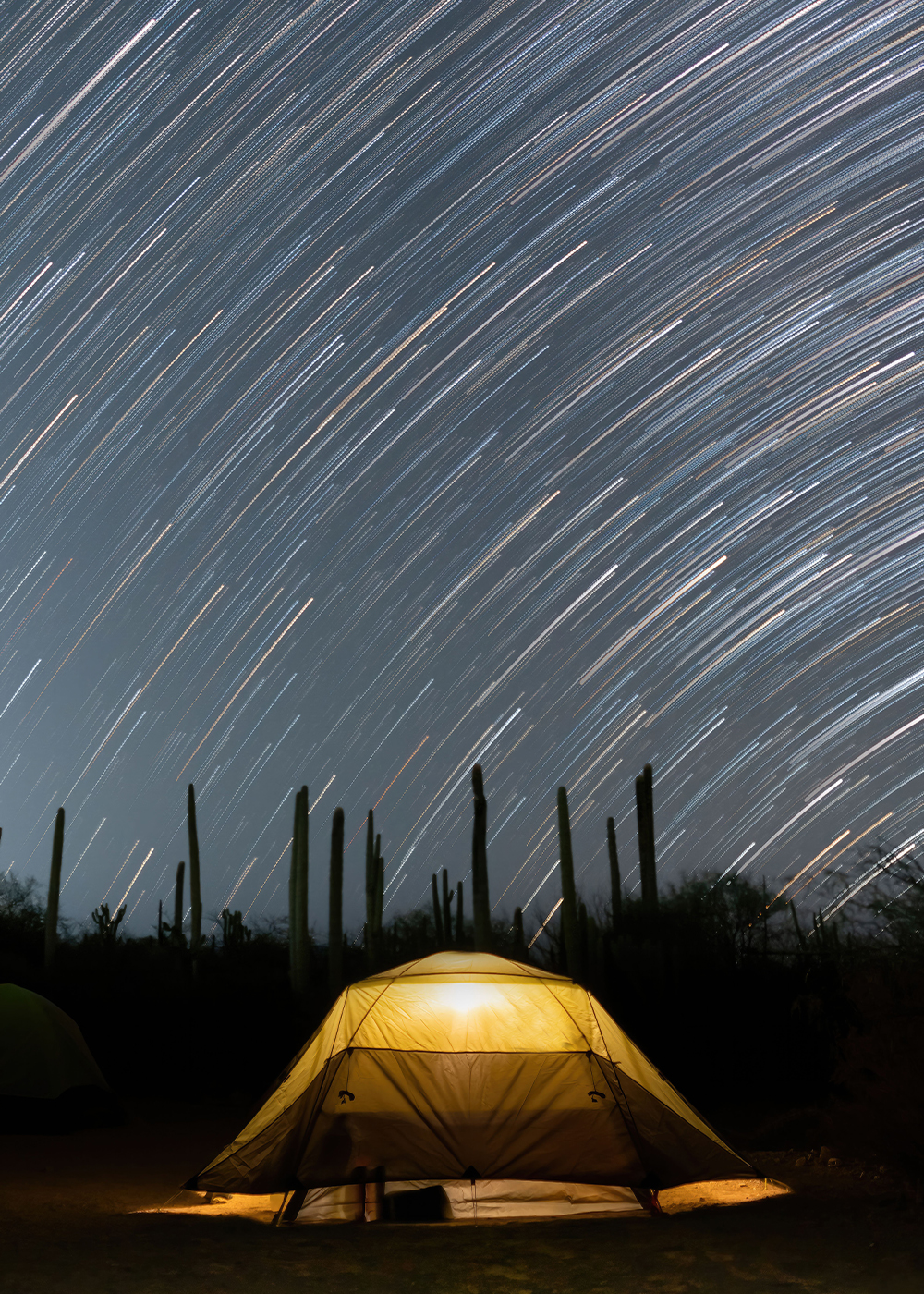 camping in la paz, stargazing activity baja california baja barefoot