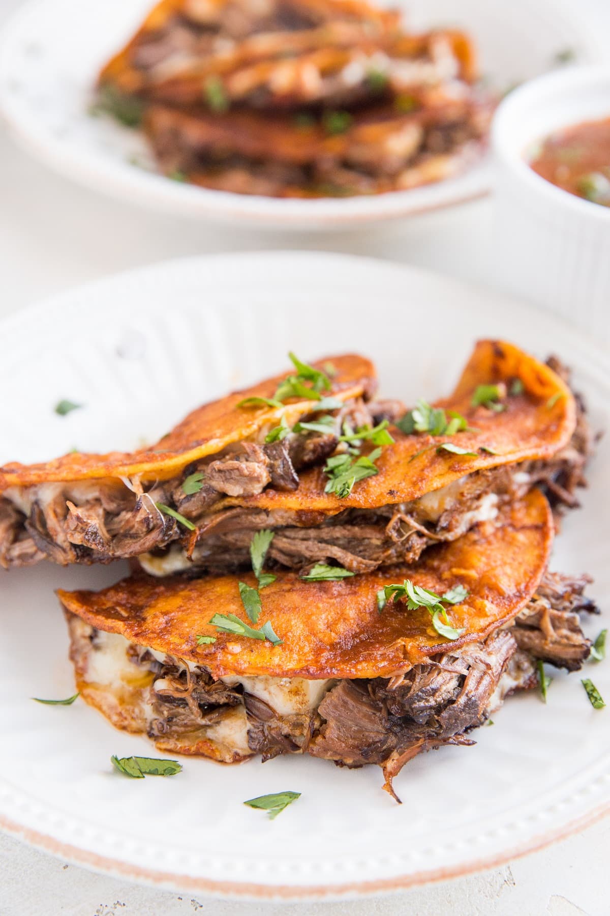 crock-pot-birria-tacos-3