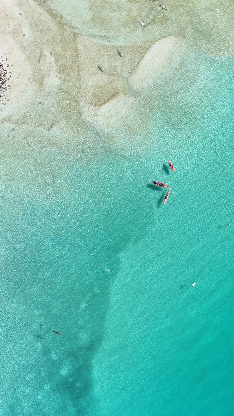 kayaking in balandra beach la paz