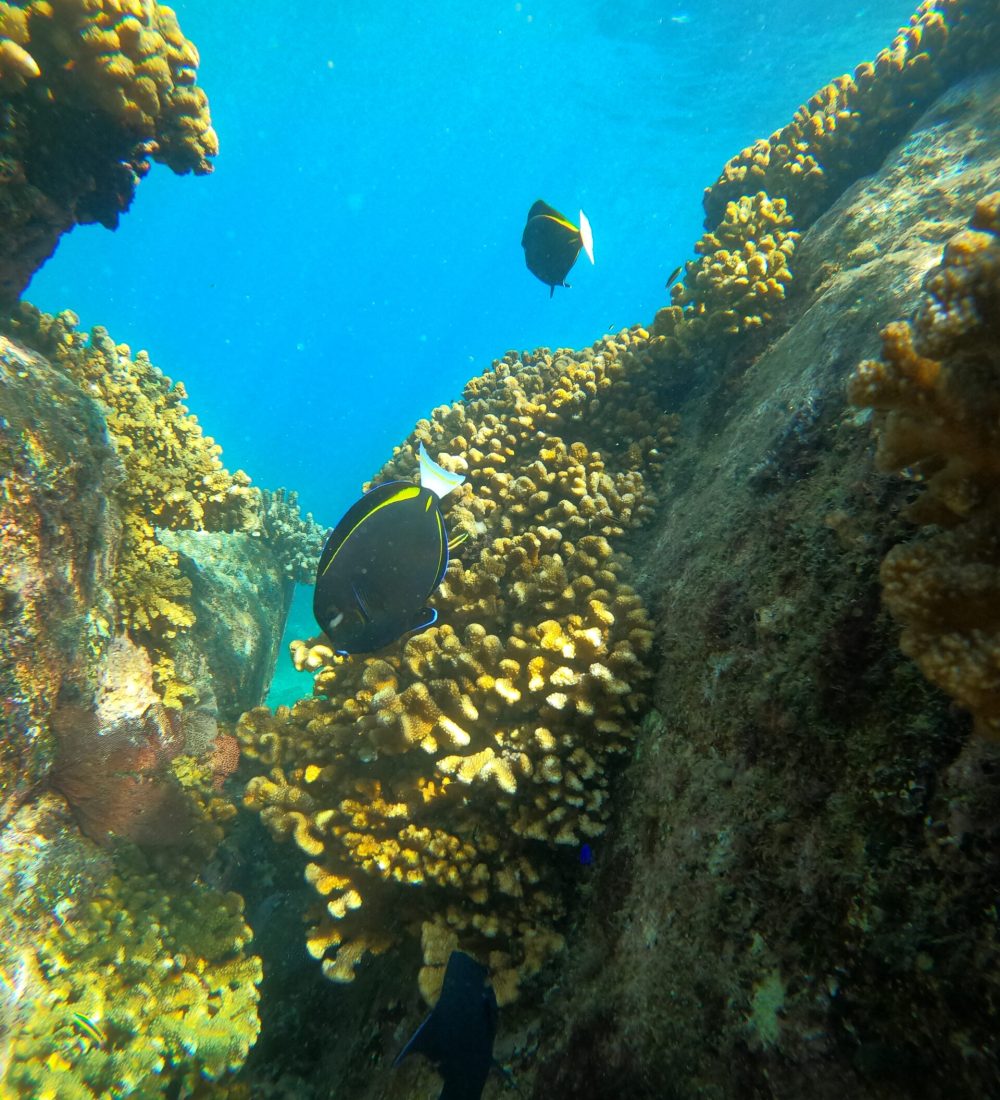 DCIM100GOPROGOPR0129.JPG